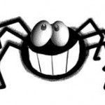 Spider Spider