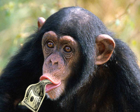 Online Presence $$ - Put Your Hard Earned Money Where it Counts
